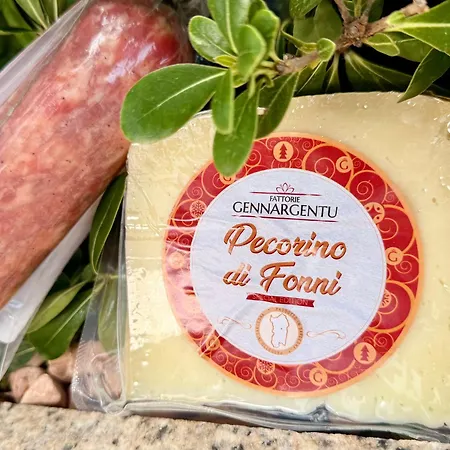 Price Vs Quality - Fully Equipped & Renovated 1br Montenero - Centre 아파트 올비아